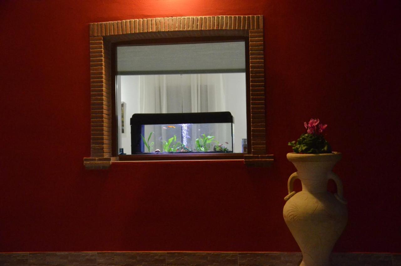 La Tana Delle Lepri Bed and Breakfast Morolo Εξωτερικό φωτογραφία